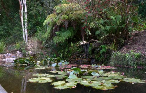 Lodge Y Caba�as Los Cisnes