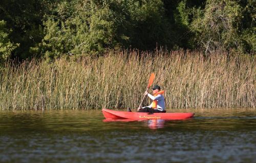 Lodge Y Caba�as Los Cisnes