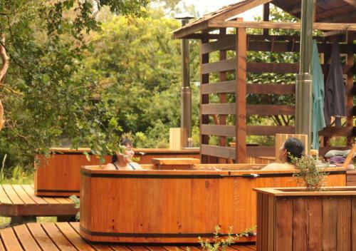 Bed & Breakfast Casa R�o Vivo