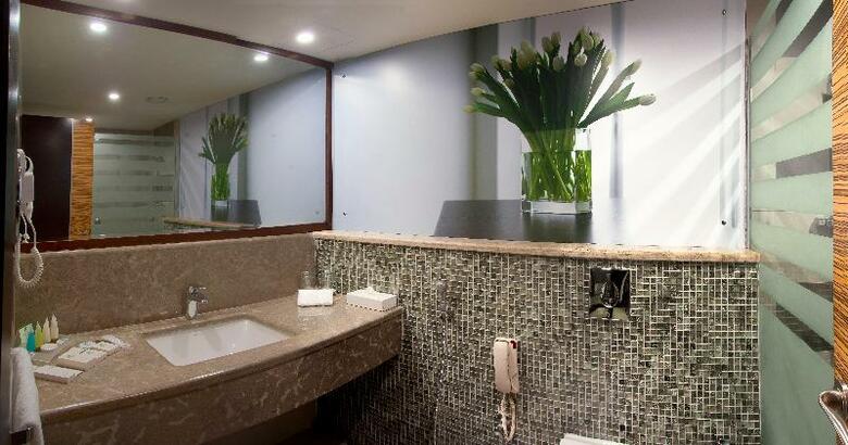 Hotel Holiday Inn Al Salam