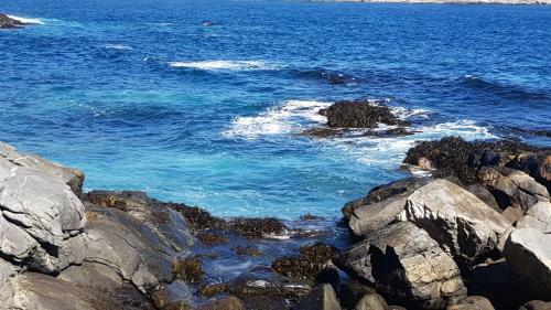 Apartamento Maitencillo , Playa , Primera Linea