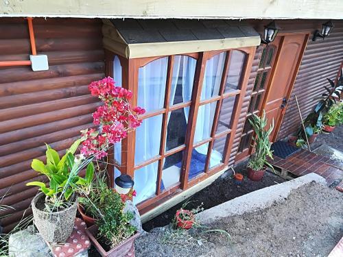Casa, Caba�a Privada Valle Del Elqui, Pueblo El Molle