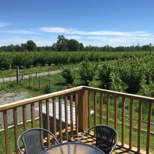 Lodge Andor�