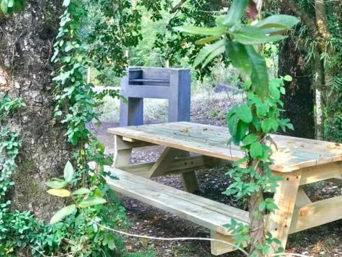 Apartamento Condominio Pucon Andino