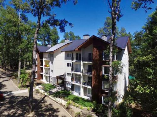 Apartamento Condominio Pucon Andino