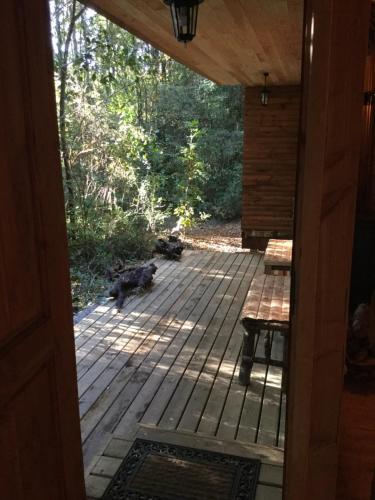 Agroturismo Caba�a Lemu Pewma