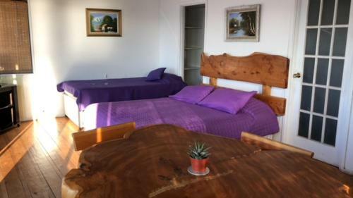 Apartamento Cabanas Pinguino En La Roca