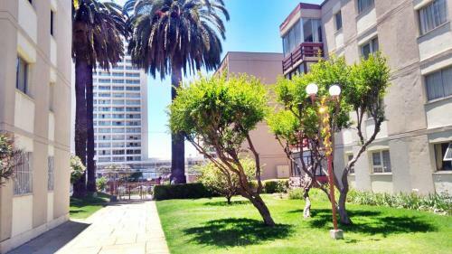 Apartamento Departamento Familiar Vi�a Del Mar