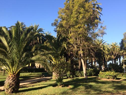 Apartamento Dpto Vi�a Del Mar