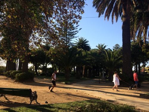 Apartamento Dpto Vi�a Del Mar