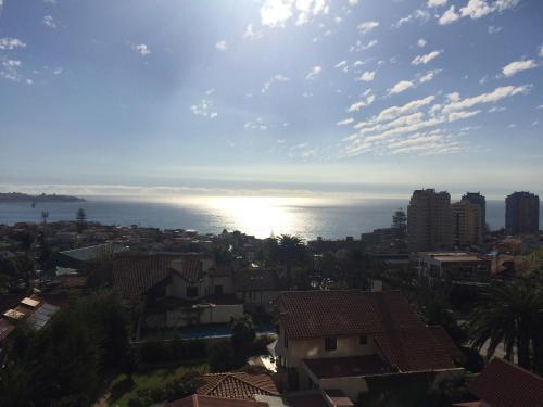 Apartamento Dpto Vi�a Del Mar