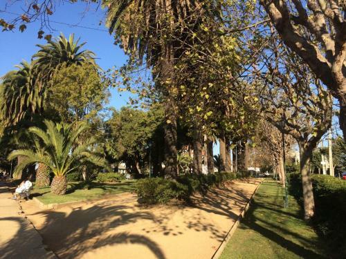 Apartamento Dpto Vi�a Del Mar