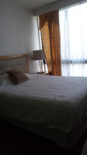 Apartamento Carrera En Vi�a Del Mar