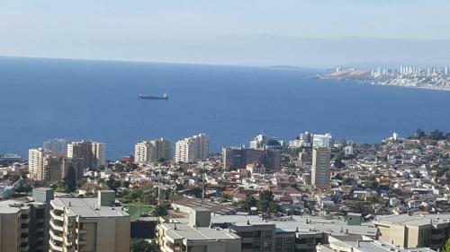 Apartamento Departameno Mirador De Vi�a