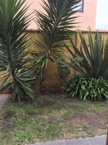 Hostal Casa Recreo Vi�a Del Mar