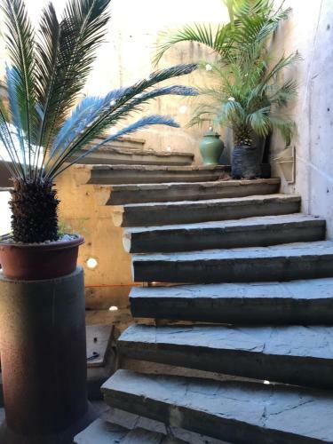 Apartamento Mirador