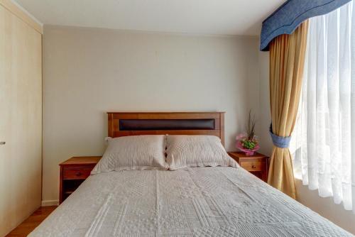 Apartamento Departamento En El Centro De Vi�a