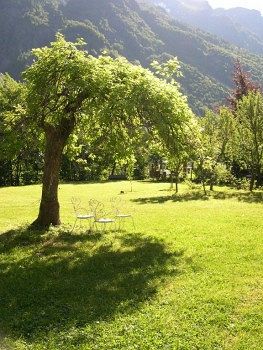 Bed & Breakfast Tre Alberi Liberi