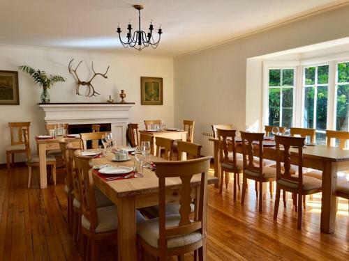 Lodge Hoster�a Pionero