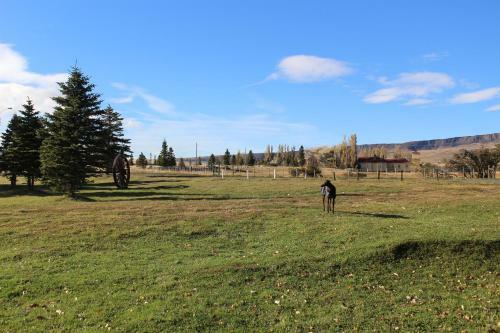 Lodge Hoster�a Pionero
