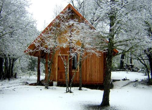 Espacio Radical Lodge De Monta�a