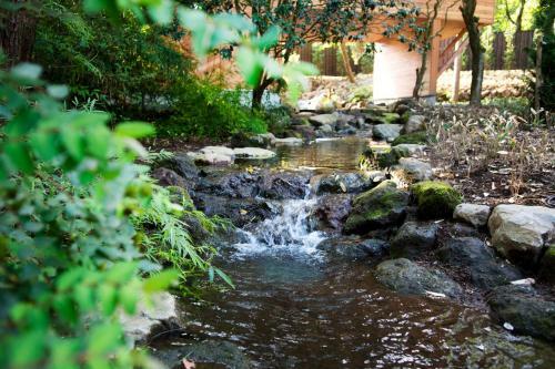 Hakone Retreat Villa 1/f