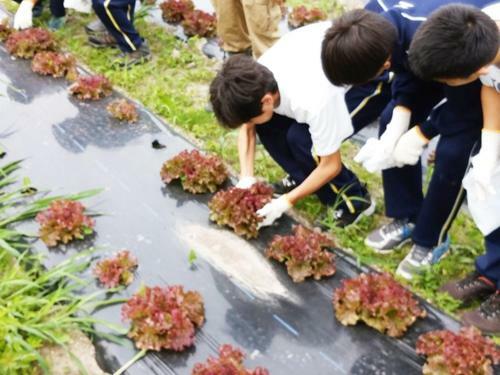 Farm&camp Re:hakuba