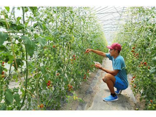 Farm&camp Re:hakuba