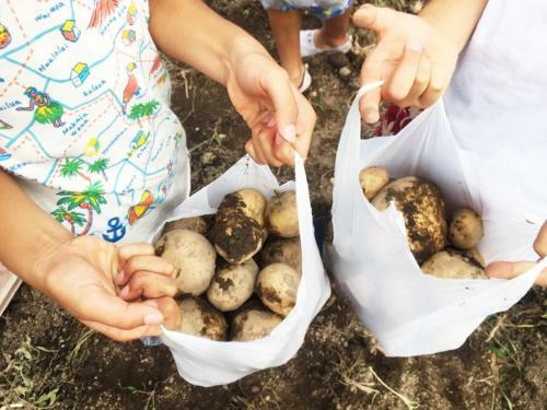Farm&camp Re:hakuba