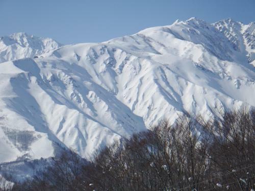 Powder Peak Echoland