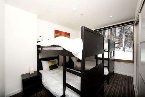 Sky Park Happo Apartment