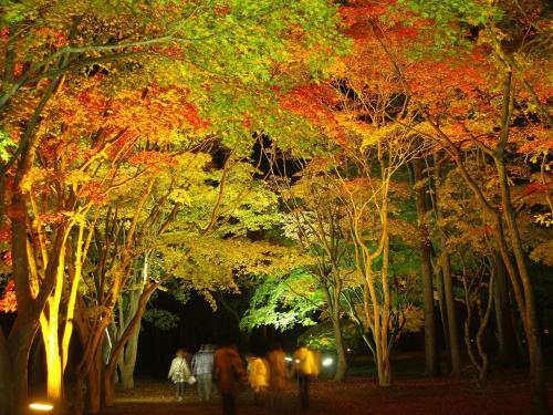 Yunokawa Kanko Hotel Shoen