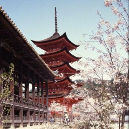 Hostal Full House Miyajima