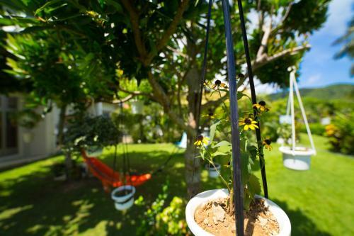 Hotel Sun Green Grass Ishigaki