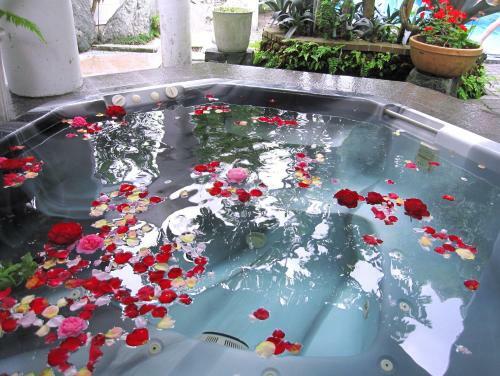 Hotel Marin Zorro Resort