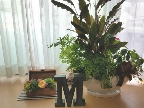 Hostal Villa M Guesthouse