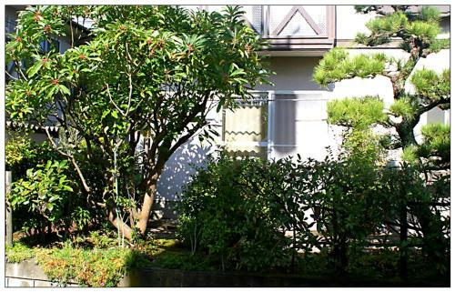 Apartamento Casa Sanpond
