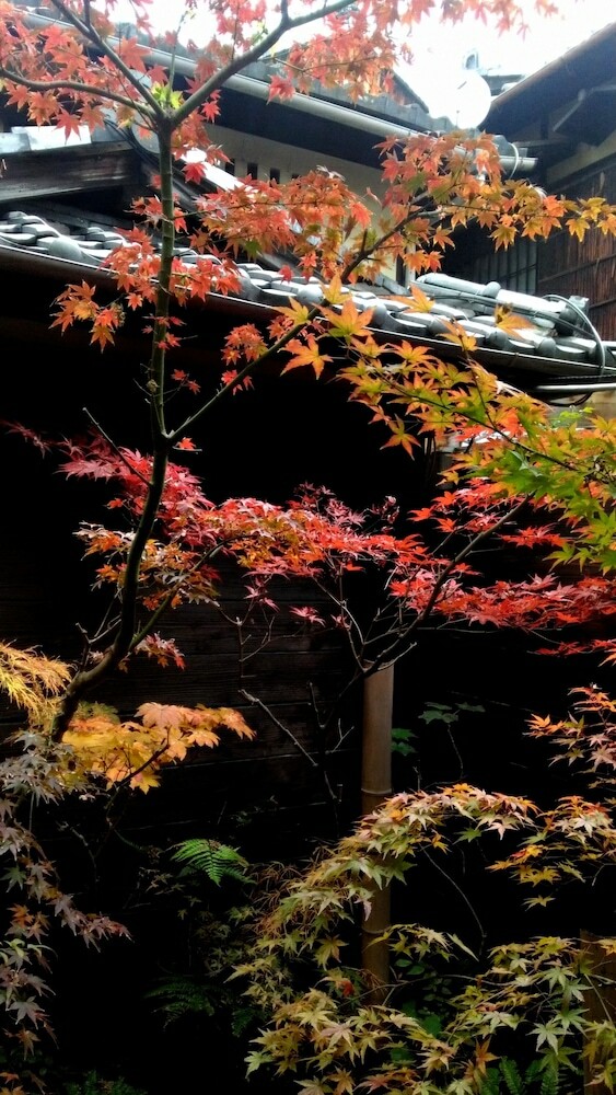 Hostal Kyoto Gion Kiraku Inn