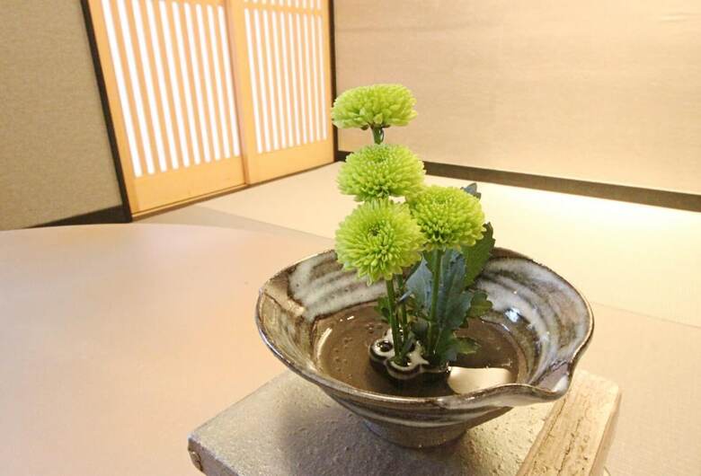 Hosta Nijo Aoi