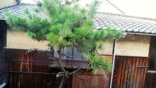 Hostal Kyoto Guesthouse Hostel Ayame