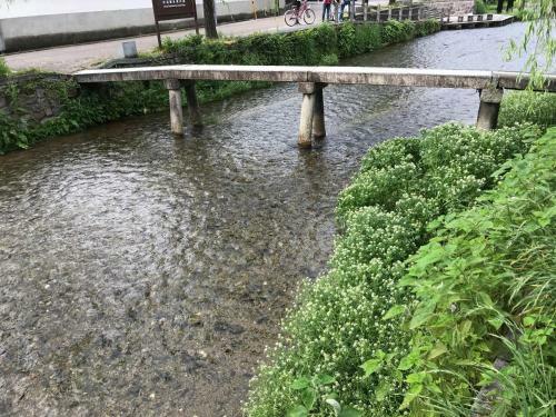 Hostal Kyoto Higashiyama With