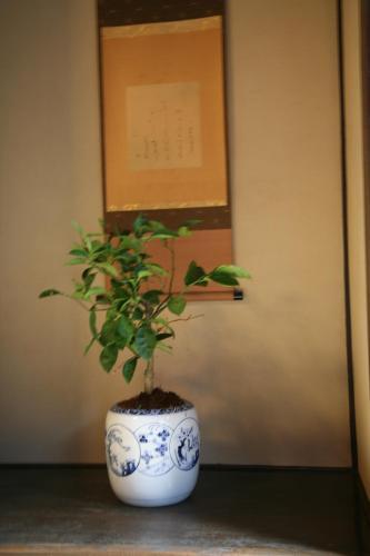 Guesthouse Tenkai