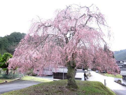 Agroturismo Tokuheian