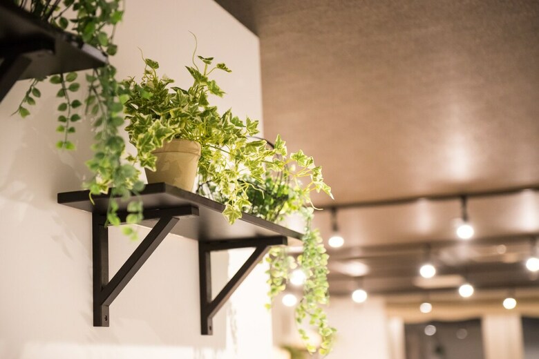 Hostel Kyoto Kizuna