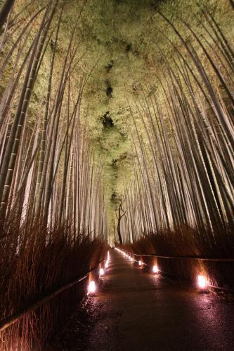 Guesthouse Sagaarashiyama