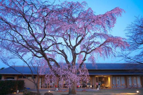 Kyoto Utano Youth Hostel