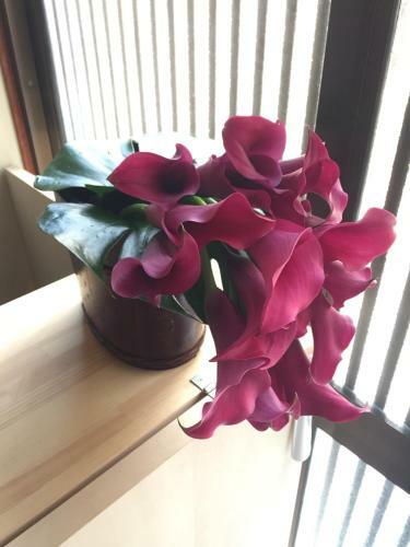 Hostal Guest House Locokokoro