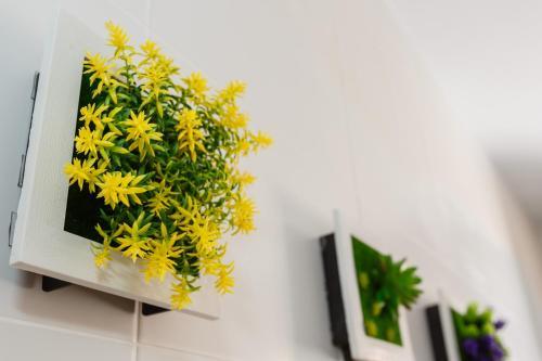 Apartamento Natural De Cadiz