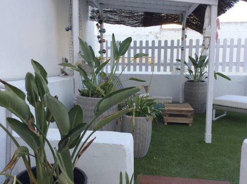 Apartamento Cadiz Beach House With Roofterrace