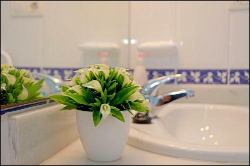 Apartamento C�diz Plaza